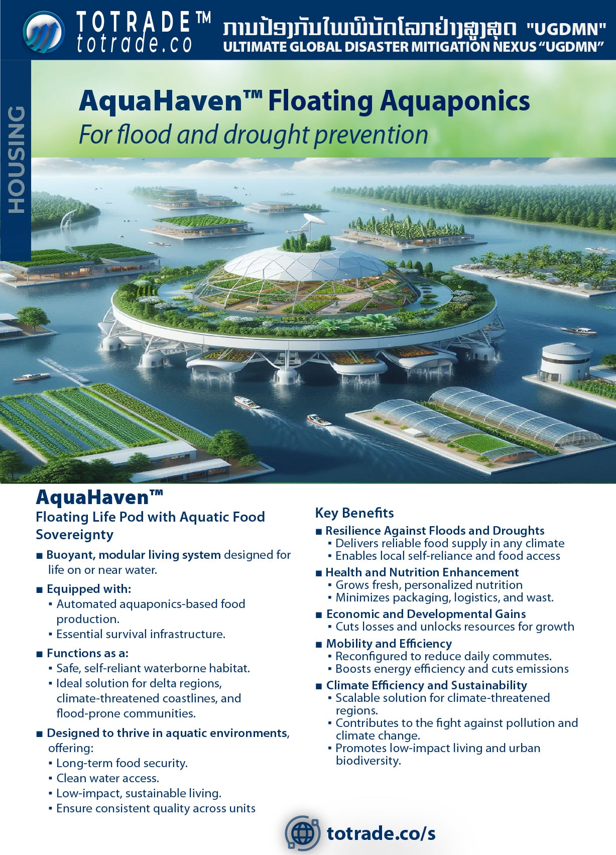 Global Housing Crisis